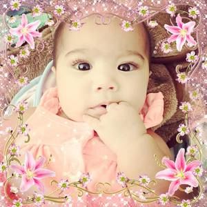 Meet your Posher, Sheba